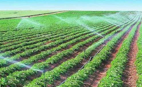 鸡鸡插小穴的网站农田高 效节水灌溉